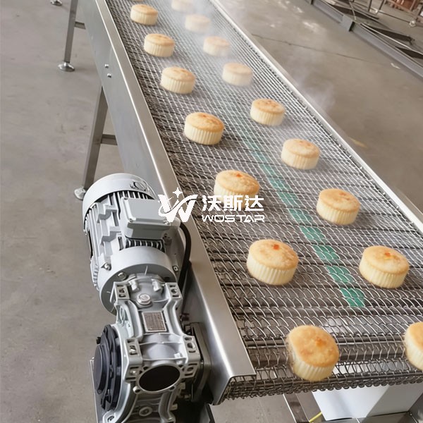 烘焙生产线什么时候用转弯网带输送机，直行机够用吗？